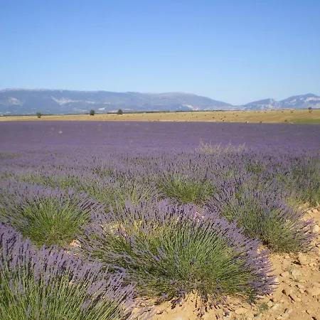 Les Lavandes D'estoublon Дом отдыха Estoublon