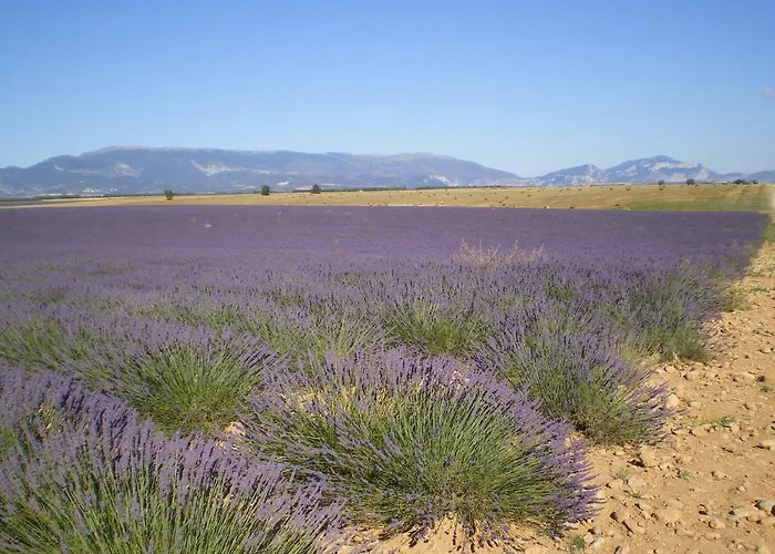 Les Lavandes D'estoublon Casa vacanze Estoublon